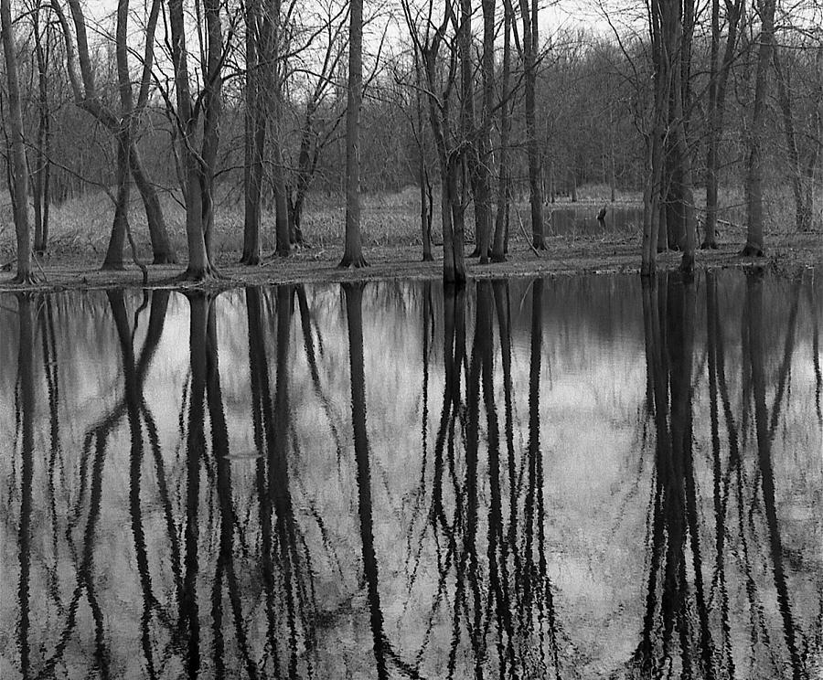 Gray Day Reflections Photograph by Michael Peychich