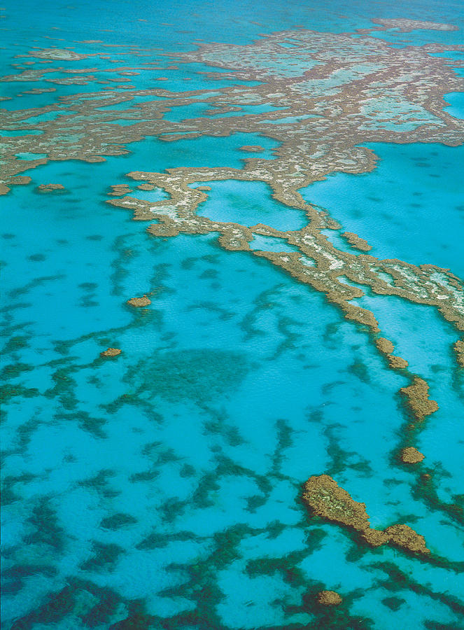 Great Barrier Reef, Australia Photograph by Peter Walton Photography
