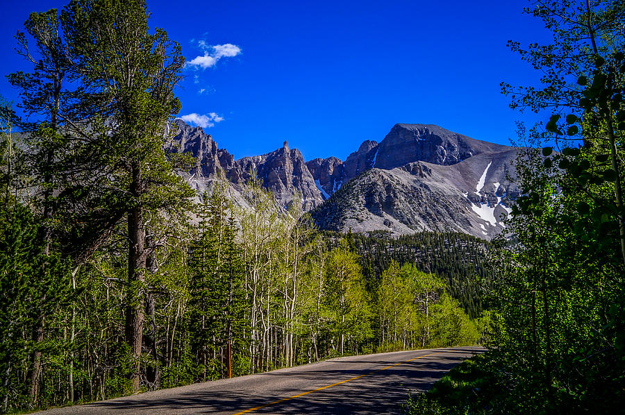 Great Basin National Park Wheeler Peak Photograph by Scott McGuire