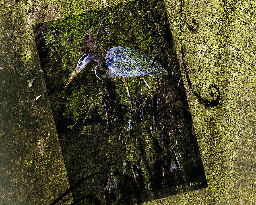Great Blue Heron - Abstract Digital Art by J Larry Walker