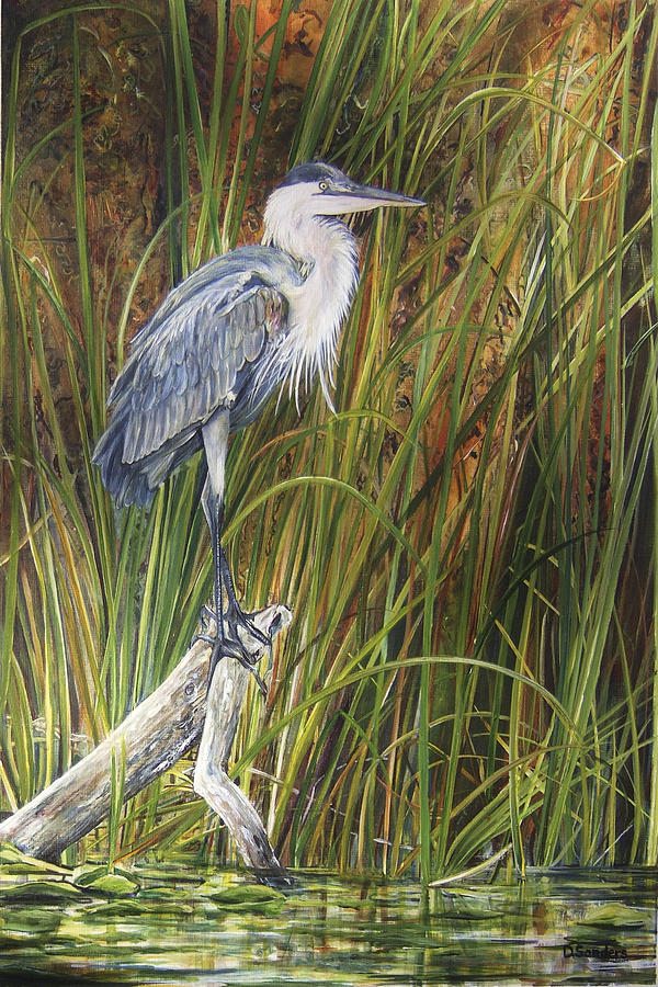 Great Blue Heron Painting by Denise Sanders - Fine Art America