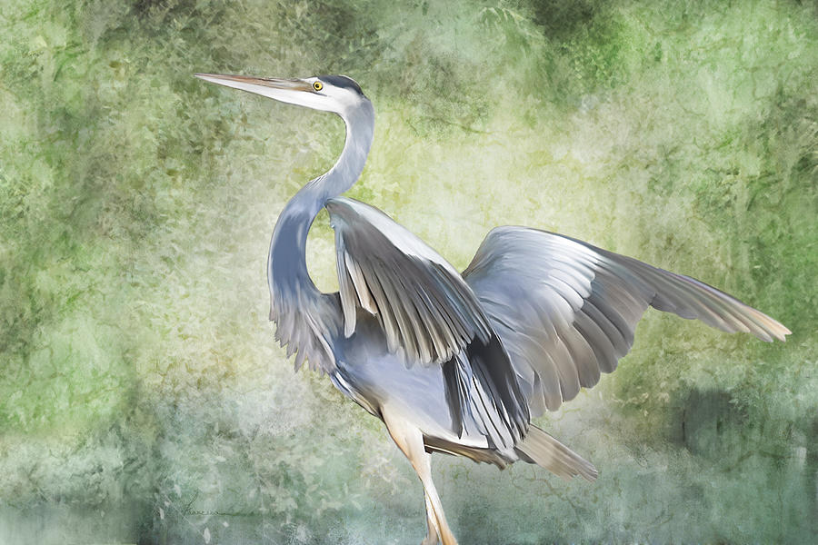 Great Blue Heron Digital Art by Frances Miller
