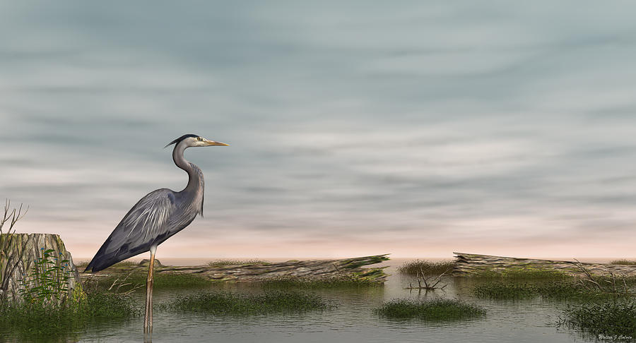 Great Blue Heron Digital Art by Walter Colvin