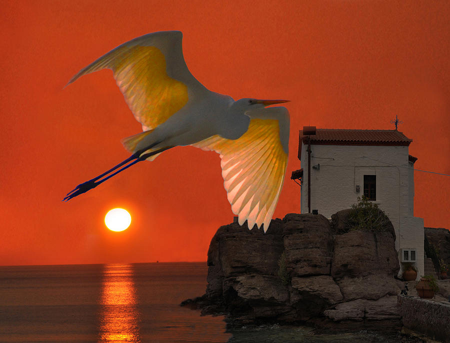 Great Egret sunset in Skala by Eric Kempson Great Egret sunset in Skala by Eric Kempson