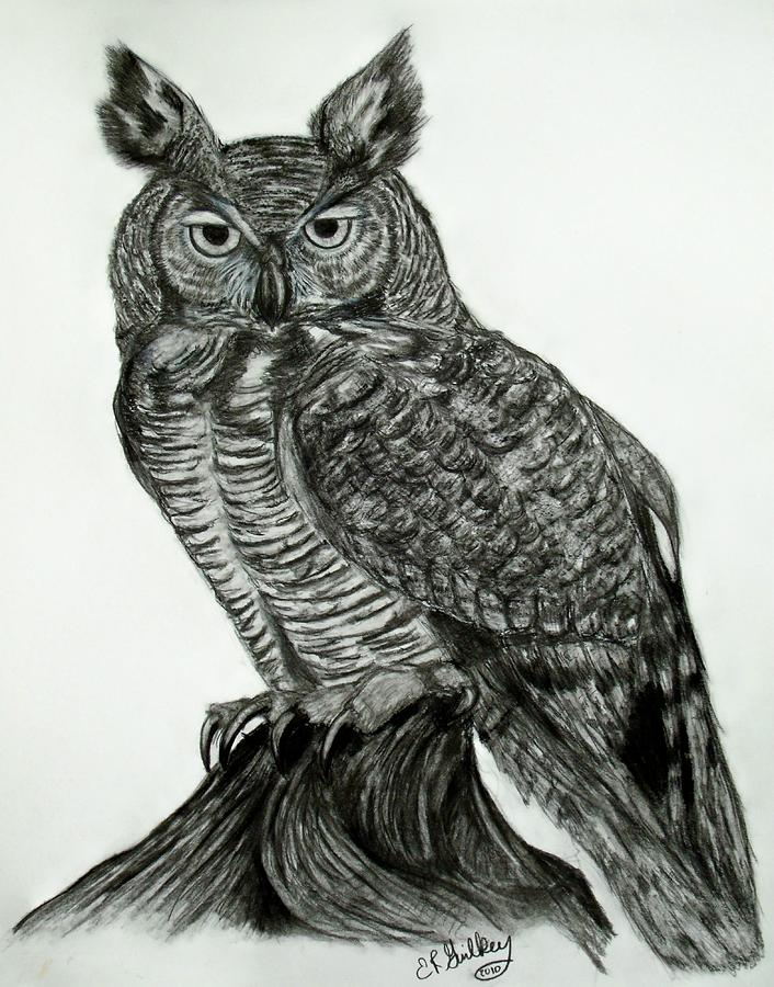 Owl Drawing - Great Horned Owl by Elizabeth Guilkey