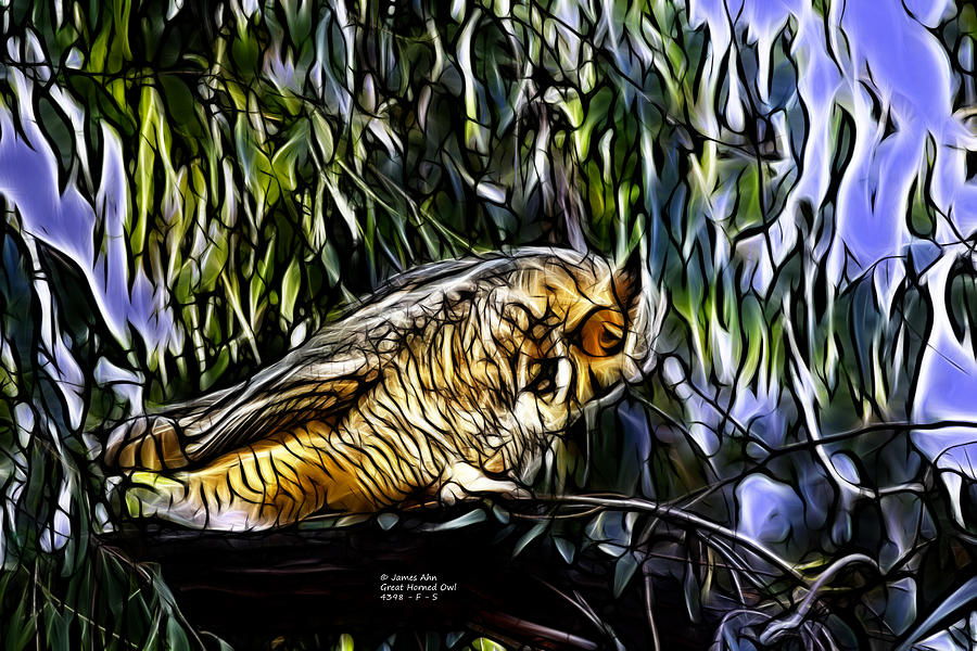 Great Horned Owl - Fractal - S -4398 Digital Art by James Ahn