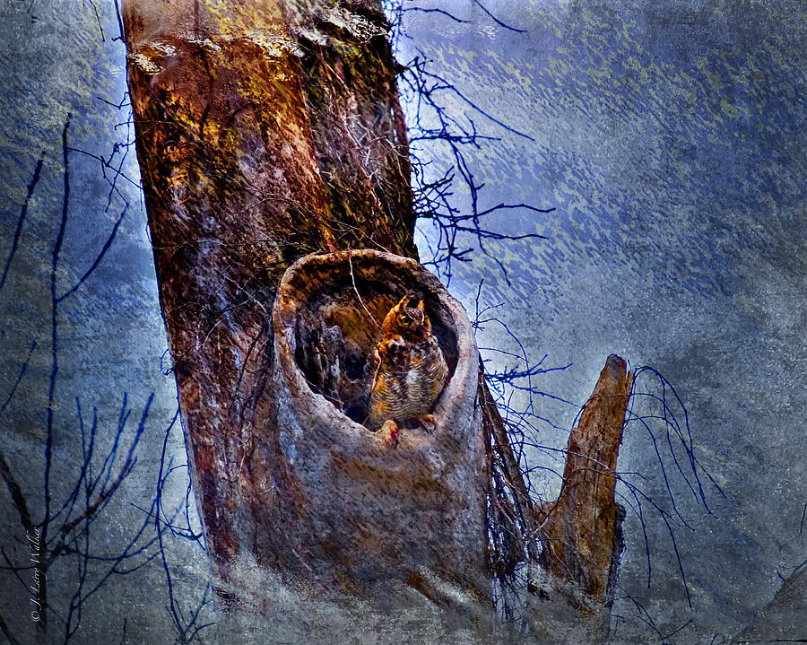 Great-Horned Owl Nest Digital Art by J Larry Walker