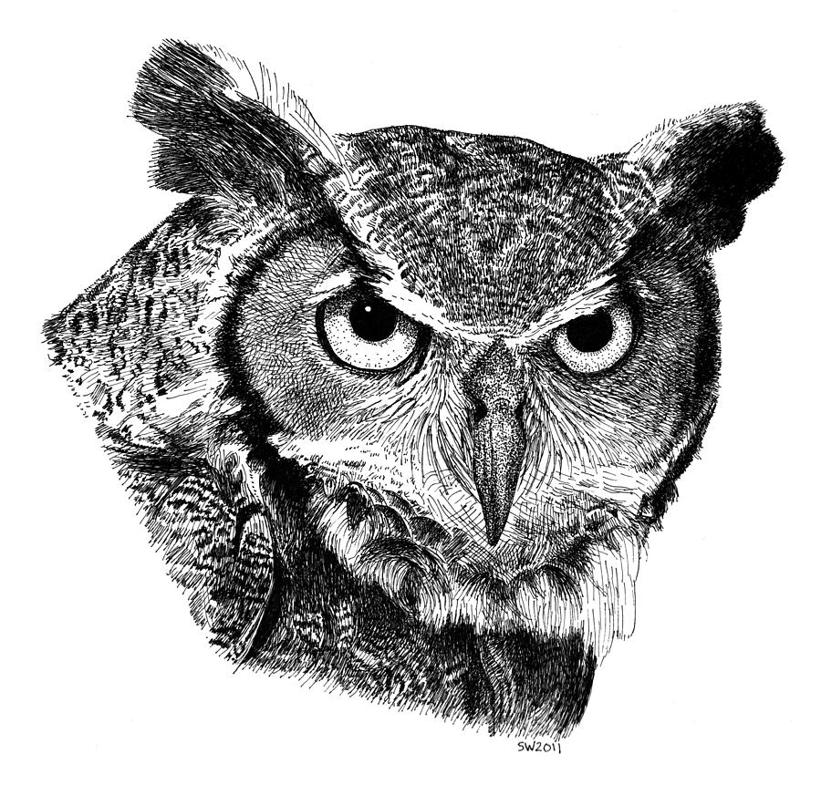 Great Horned Owl Drawing by Scott Woyak