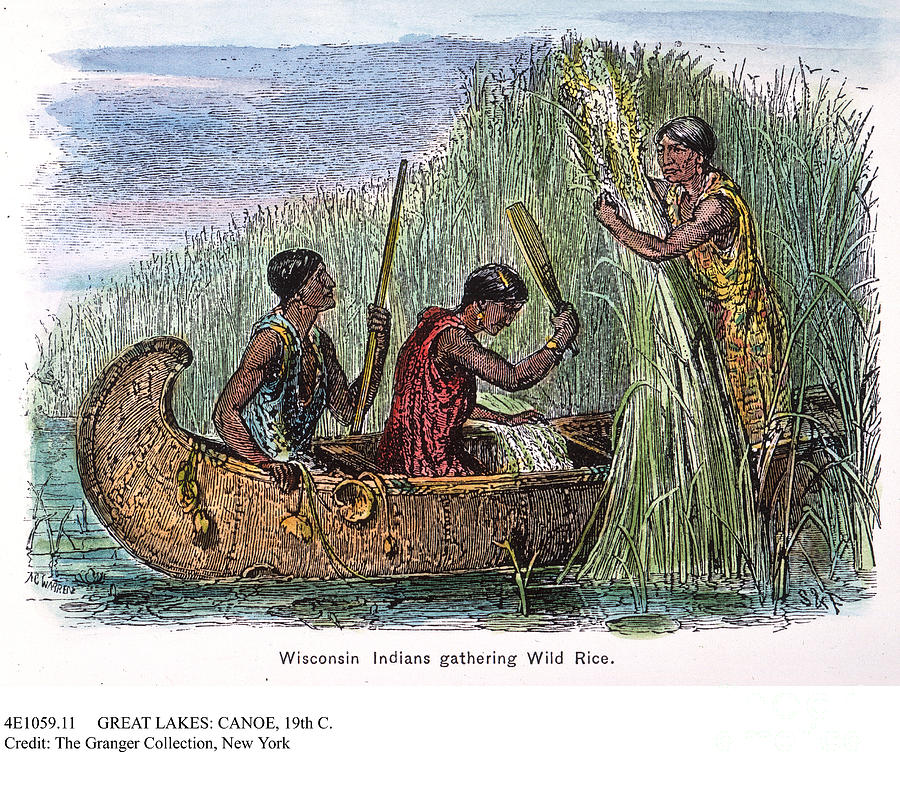 GREAT LAKES: CANOE, 19th C by Granger