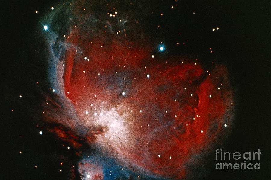 Star Photograph - Great Nebula In Orion by Science Source