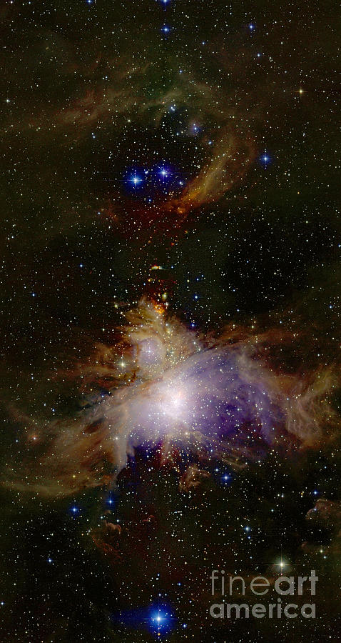 Great Orion Nebula, Infrared Image Photograph by 2MASS project / NASA