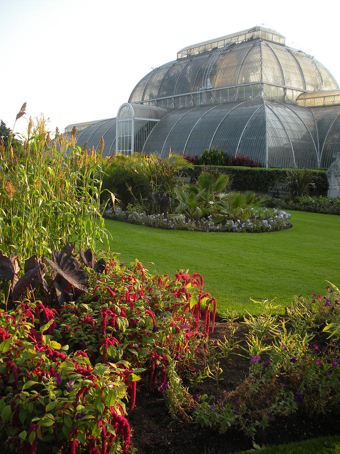 Great Palm House 4 Photograph by Craig Johnson - Fine Art America