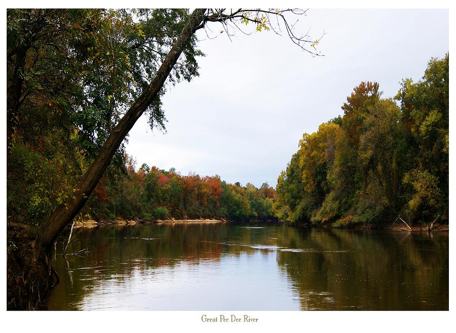 Great Pee Dee River Photograph by Eddie Glass - Fine Art America