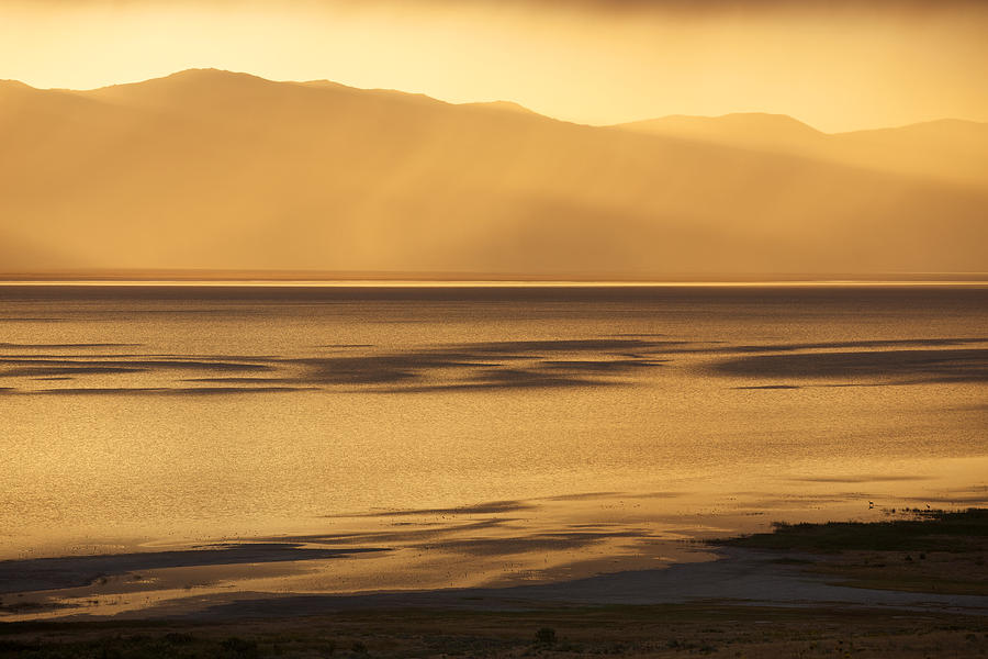 Great Salt Lake Photograph by Johan Elzenga
