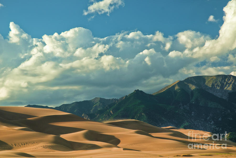 Great Sand Dunes - Colorado Photograph by David Waldrop