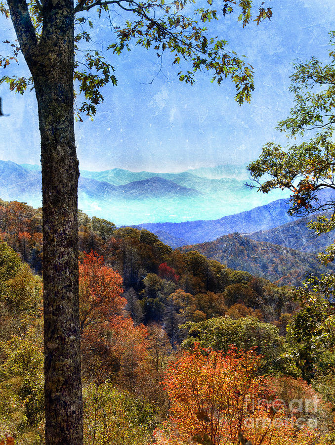 Great Smoky Mountains Photograph by Jill Battaglia