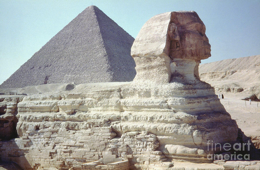 Great Sphinx And Pyramid Photograph by Granger