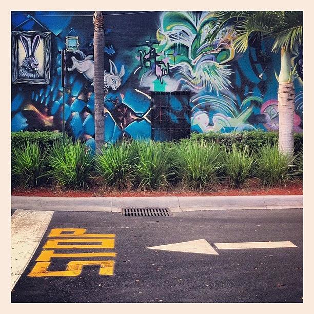 Rabbit Photograph - Great Wall, Fort Lauderdale #graffiti by Sebastiaan Van der Graaf