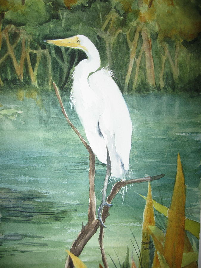 Egret Painting - Great White Egret by Marilyn  Clement