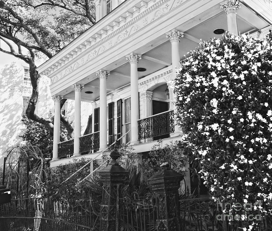 Greek Revival and the Little Shoe - BW- Garden District New Orleans Photograph by Kathleen K Parker