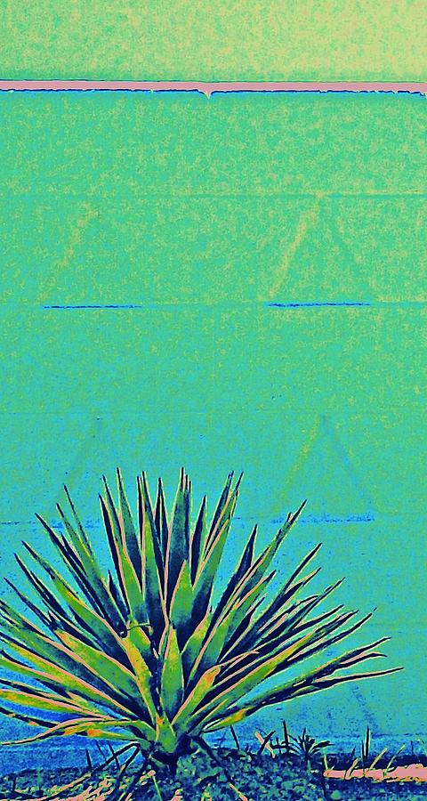 Architecture Photograph - Green Agave by Randall Weidner