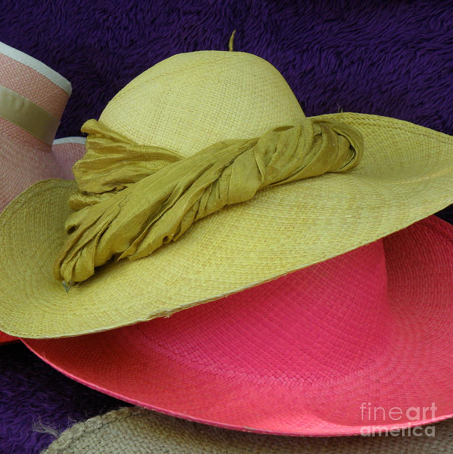 Green and Pink Hats Photograph by Lainie Wrightson