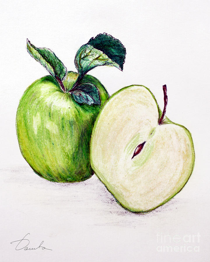 Green apple Painting by Danuta Bennett