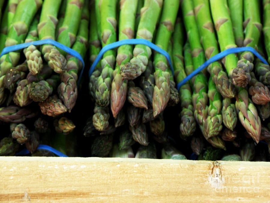 Green Asparagus Photograph by Lainie Wrightson