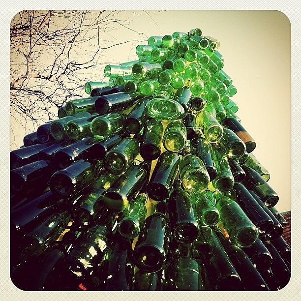 Tree Photograph - Green Bottle Tree #artwork #green #tree by Shawnna Smith