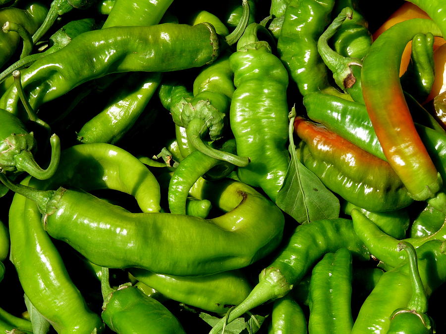 Green Chili Peppers Photograph by Jeff Lowe - Fine Art America
