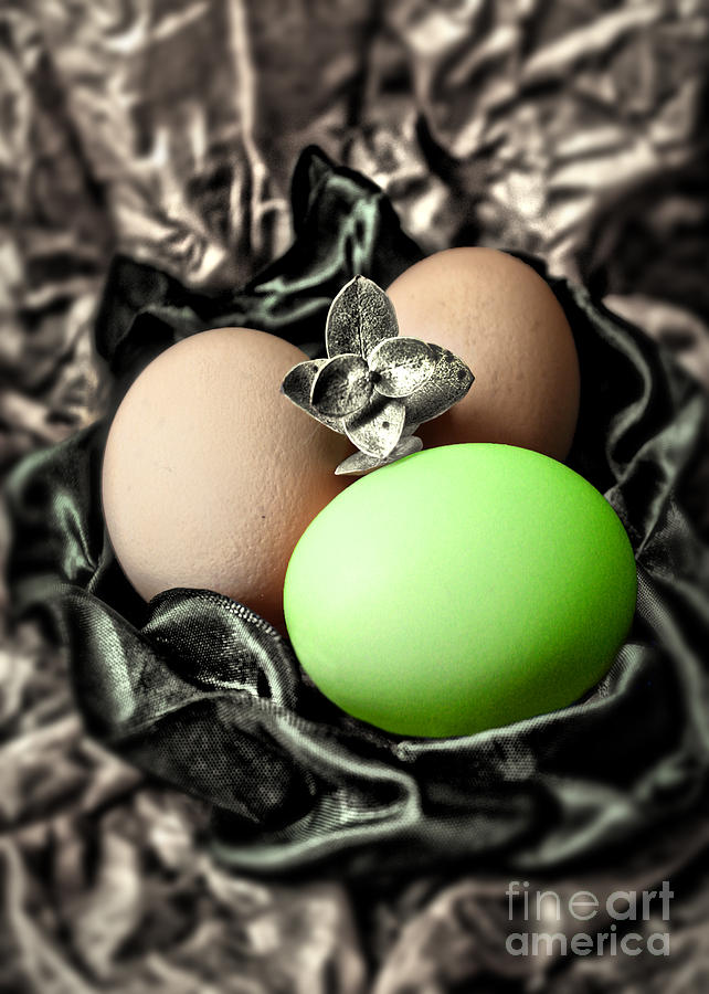 Green Classy Easter Egg Photograph by Danuta Bennett