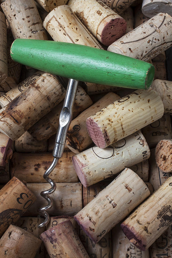 Wine Photograph - Green corkscrew by Garry Gay