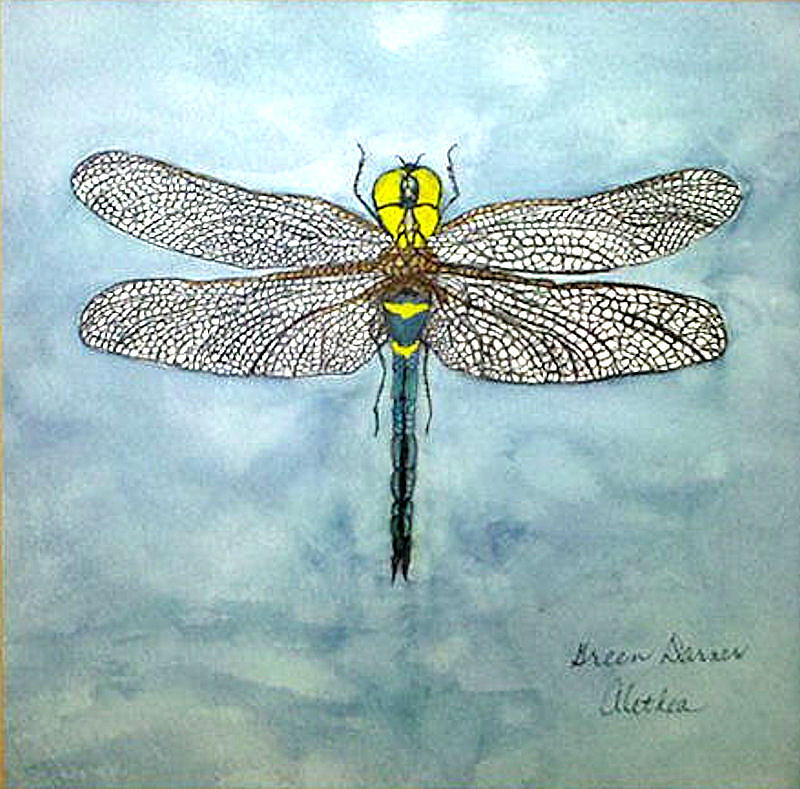 Green Darner Painting by Alethea M