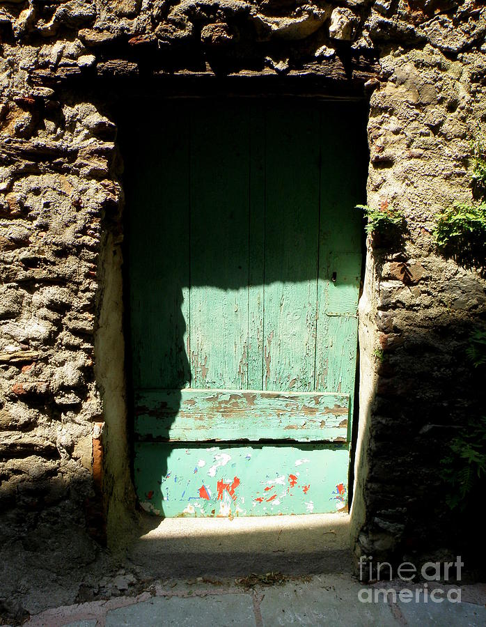 Green Door Photograph by Lainie Wrightson