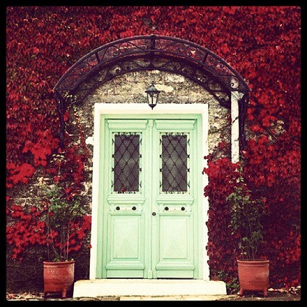 Green Door Photograph by Pablo Carstens