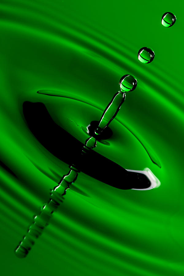 Green Drops Photograph by Keith Allen