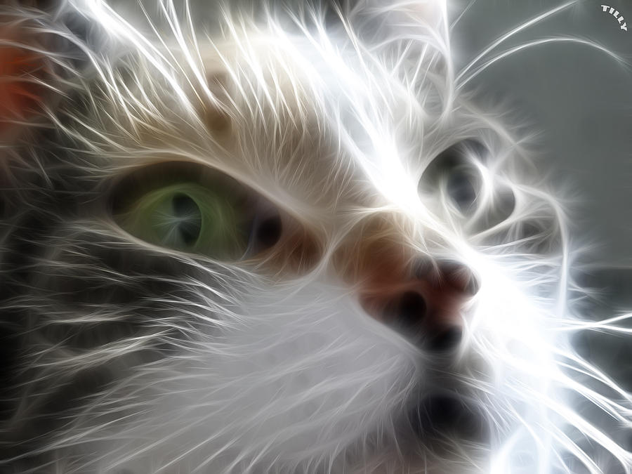 Cat Digital Art - Green eyes by Tilly Williams