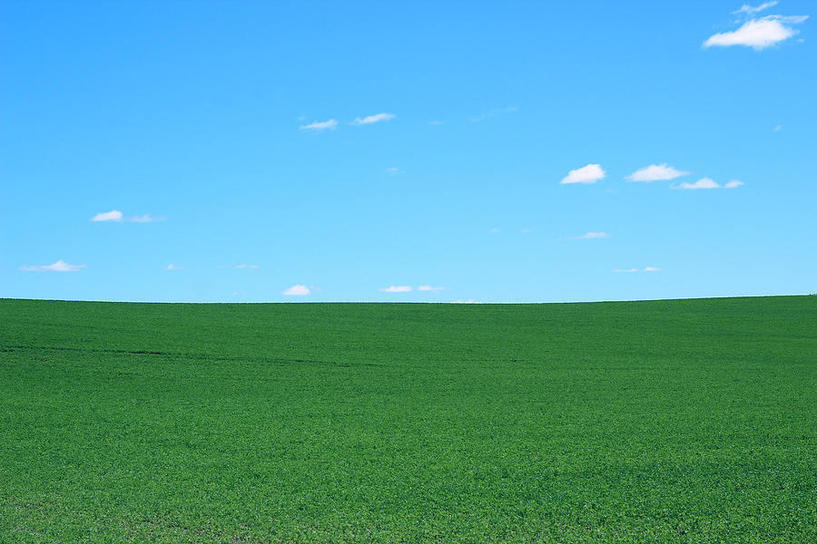 Green Field Blue Sky Photograph by Jeramie Curtice - Fine Art America