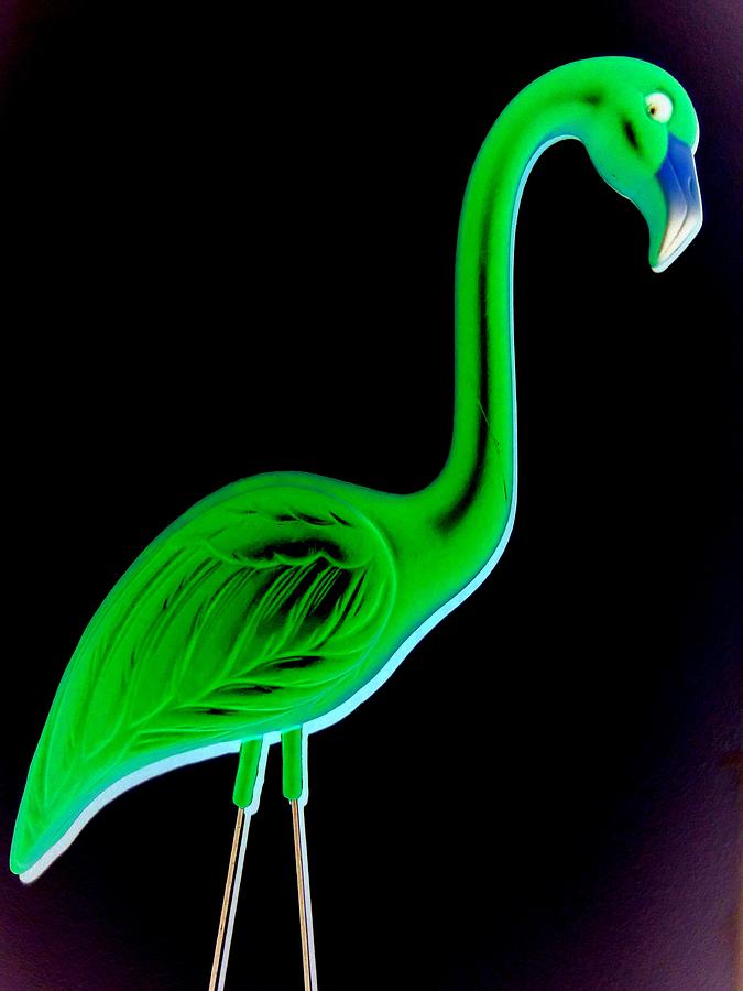 Flamingo Digital Art - Green Flamingo by Randall Weidner