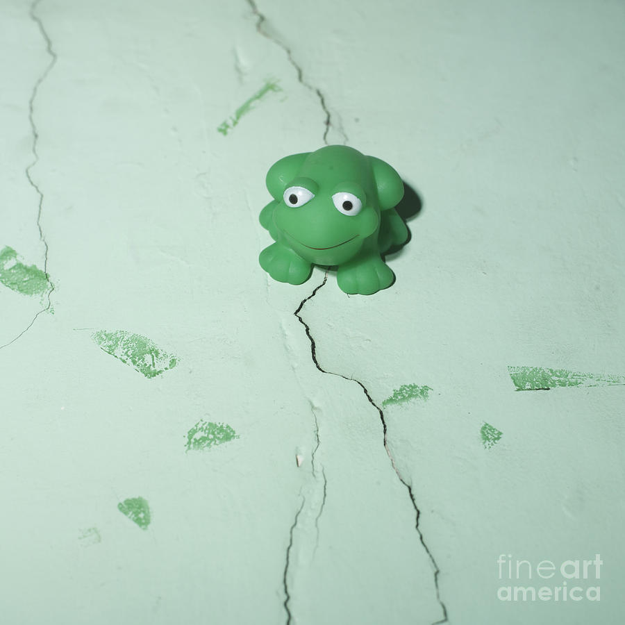 Toy Photograph - Green frog by Bernard Jaubert