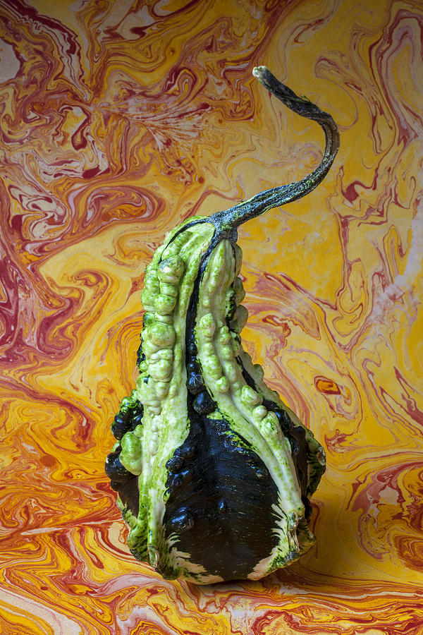 Fruit Photograph - Green Gourd by Garry Gay
