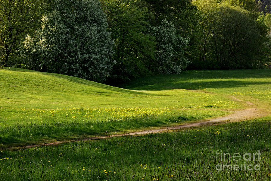 Green green grass of home Photograph by Lutz Baar