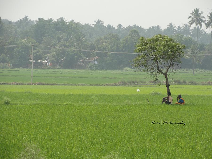Green Photograph - Green by Hari Ram
