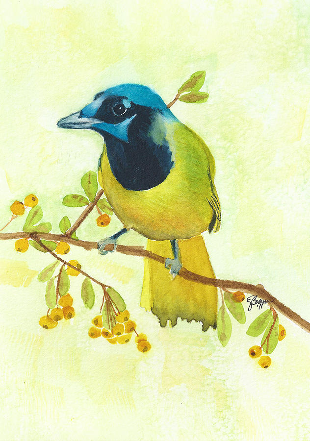 Green Jay Painting by Elise Boam