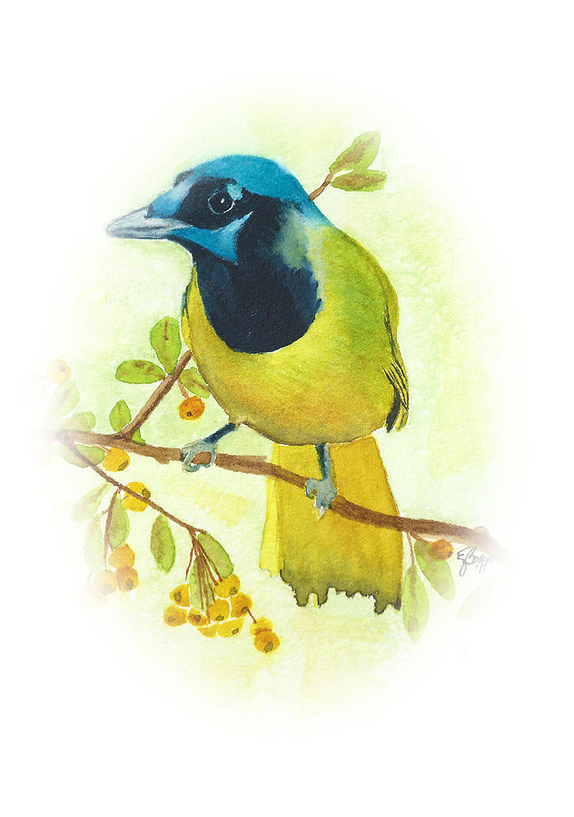 Green Jay Vignette Painting by Elise Boam