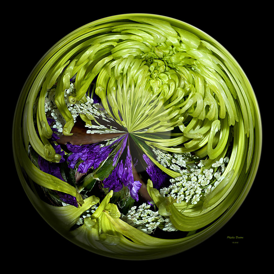 Globe Photograph - Green Mum Globe by Phyllis Denton