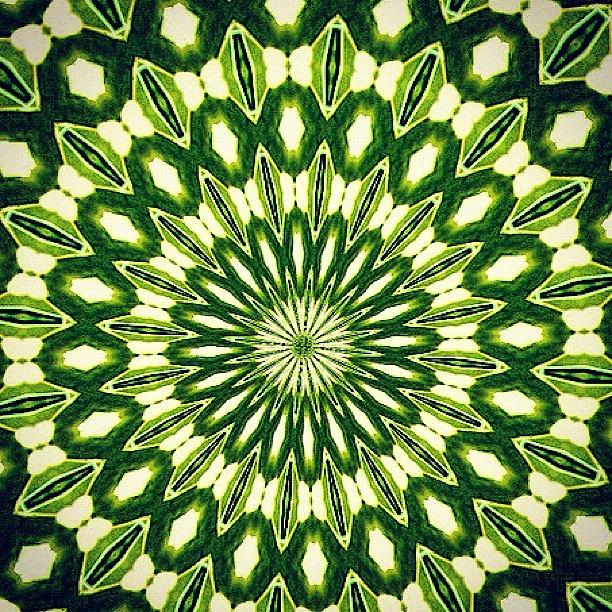 Green Pattern Photograph by Wk Masters