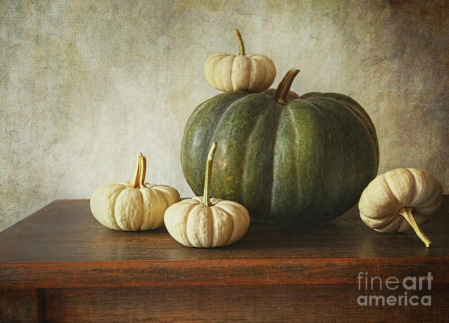 Green pumpkin and gourds on table  Photograph by Sandra Cunningham