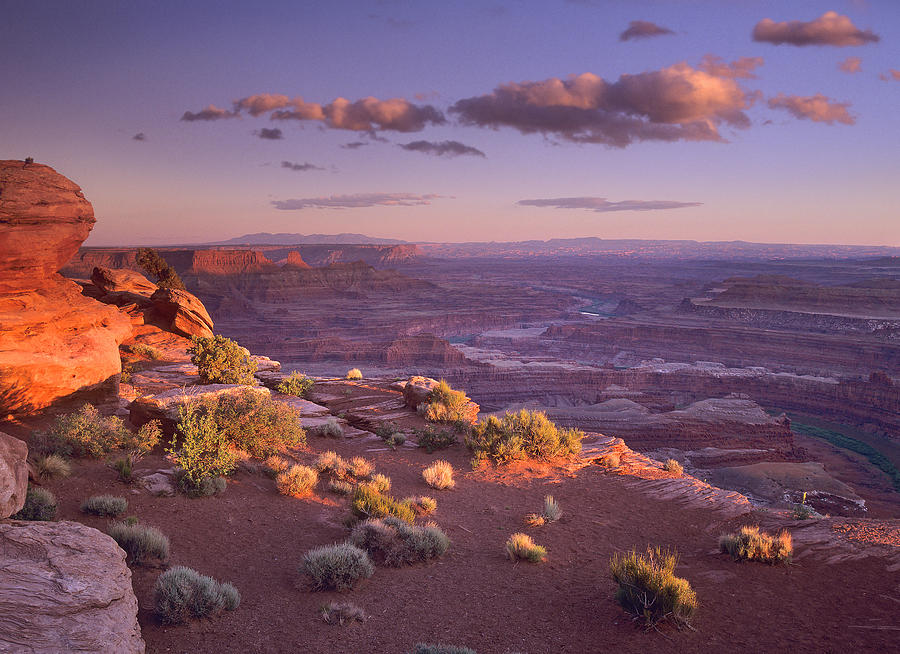 Green River Overlook Canyonlands Photograph by Tim Fitzharris