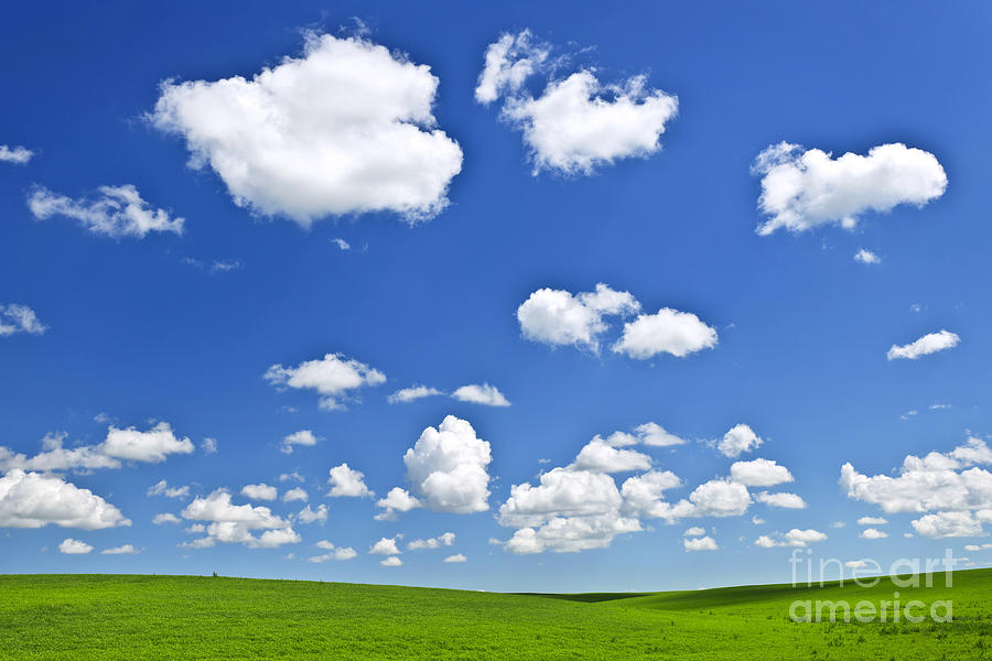 Green rolling hills under blue sky 2 Photograph by Elena Elisseeva